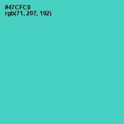 #47CFC0 - Viking Color Image