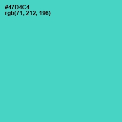 #47D4C4 - Viking Color Image