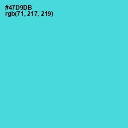 #47D9DB - Viking Color Image