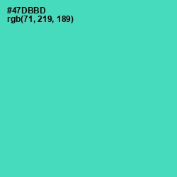 #47DBBD - De York Color Image