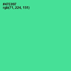 #47E097 - De York Color Image
