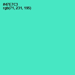 #47E7C3 - Downy Color Image