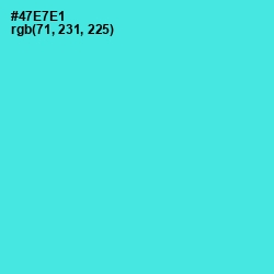 #47E7E1 - Turquoise Blue Color Image