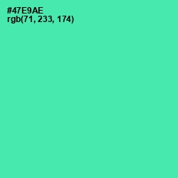 #47E9AE - De York Color Image