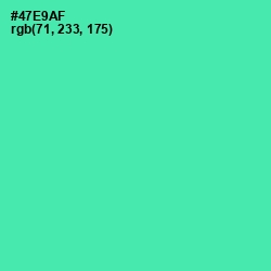 #47E9AF - De York Color Image