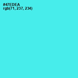 #47EDEA - Turquoise Blue Color Image