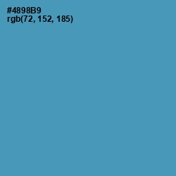 #4898B9 - Hippie Blue Color Image