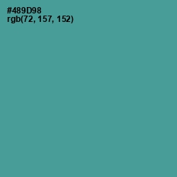#489D98 - Smalt Blue Color Image