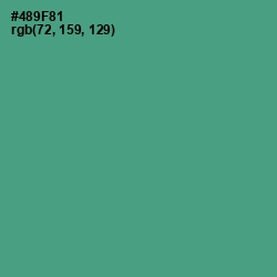 #489F81 - Smalt Blue Color Image