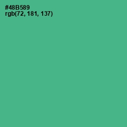 #48B589 - Breaker Bay Color Image