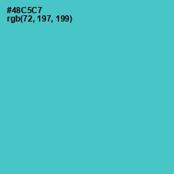 #48C5C7 - Viking Color Image