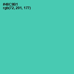 #48C9B1 - De York Color Image