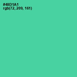 #48D1A1 - De York Color Image