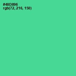 #48D896 - De York Color Image