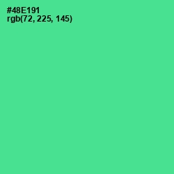 #48E191 - De York Color Image