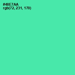#48E7AA - De York Color Image