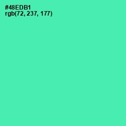 #48EDB1 - De York Color Image