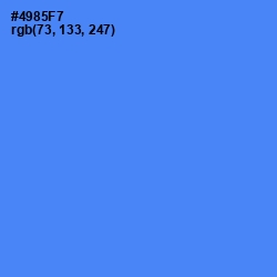 #4985F7 - Cornflower Blue Color Image