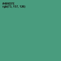 #499D7E - Viridian Color Image