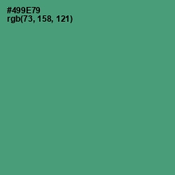 #499E79 - Viridian Color Image