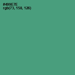 #499E7E - Viridian Color Image