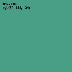 #499E86 - Smalt Blue Color Image