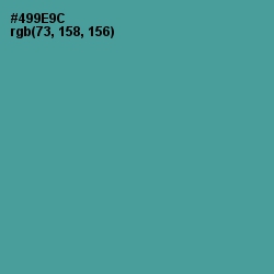 #499E9C - Smalt Blue Color Image