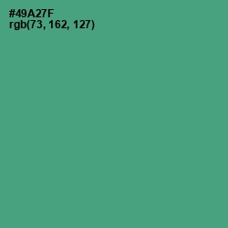 #49A27F - Ocean Green Color Image
