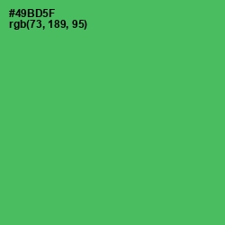 #49BD5F - Chateau Green Color Image