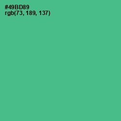 #49BD89 - Breaker Bay Color Image