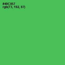 #49C057 - Emerald Color Image