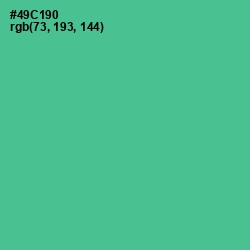 #49C190 - De York Color Image