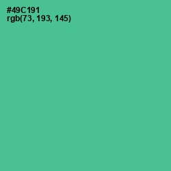 #49C191 - De York Color Image