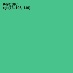 #49C38C - De York Color Image