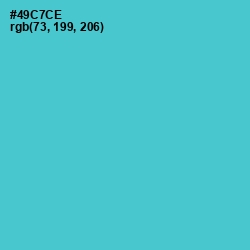 #49C7CE - Viking Color Image