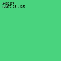 #49D37F - Emerald Color Image