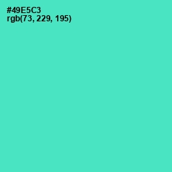 #49E5C3 - Downy Color Image