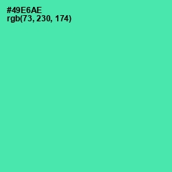 #49E6AE - De York Color Image