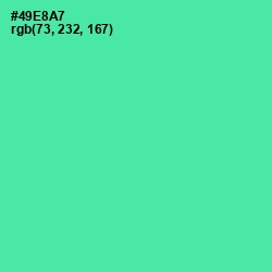 #49E8A7 - De York Color Image