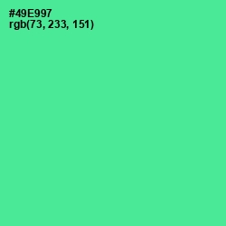 #49E997 - De York Color Image