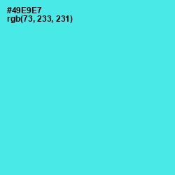 #49E9E7 - Turquoise Blue Color Image