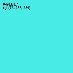 #49EBE7 - Turquoise Blue Color Image
