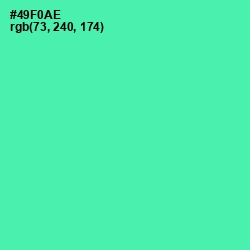 #49F0AE - De York Color Image