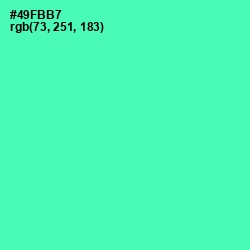 #49FBB7 - De York Color Image