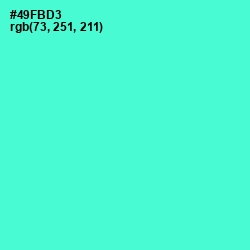 #49FBD3 - Turquoise Blue Color Image