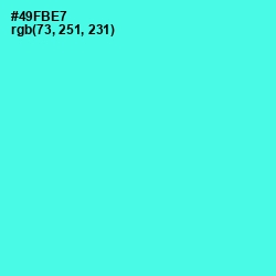 #49FBE7 - Turquoise Blue Color Image