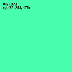#49FDAF - De York Color Image