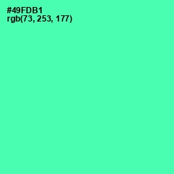 #49FDB1 - De York Color Image