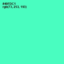 #49FDC1 - Aquamarine Color Image