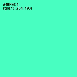 #49FEC1 - Aquamarine Color Image